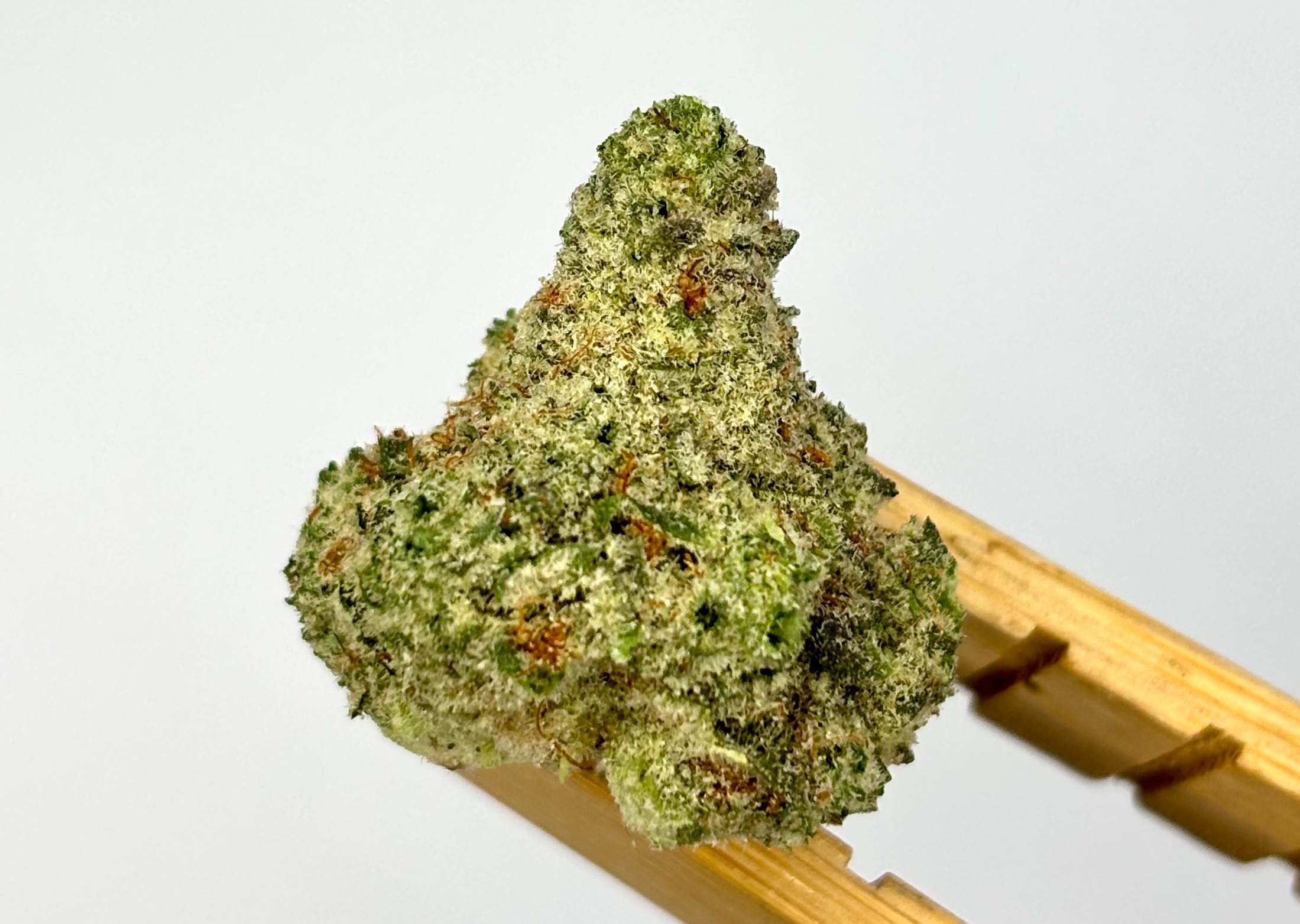 Plant Nerd | Papaya Bomb | Bulk Flower | Purple Tier