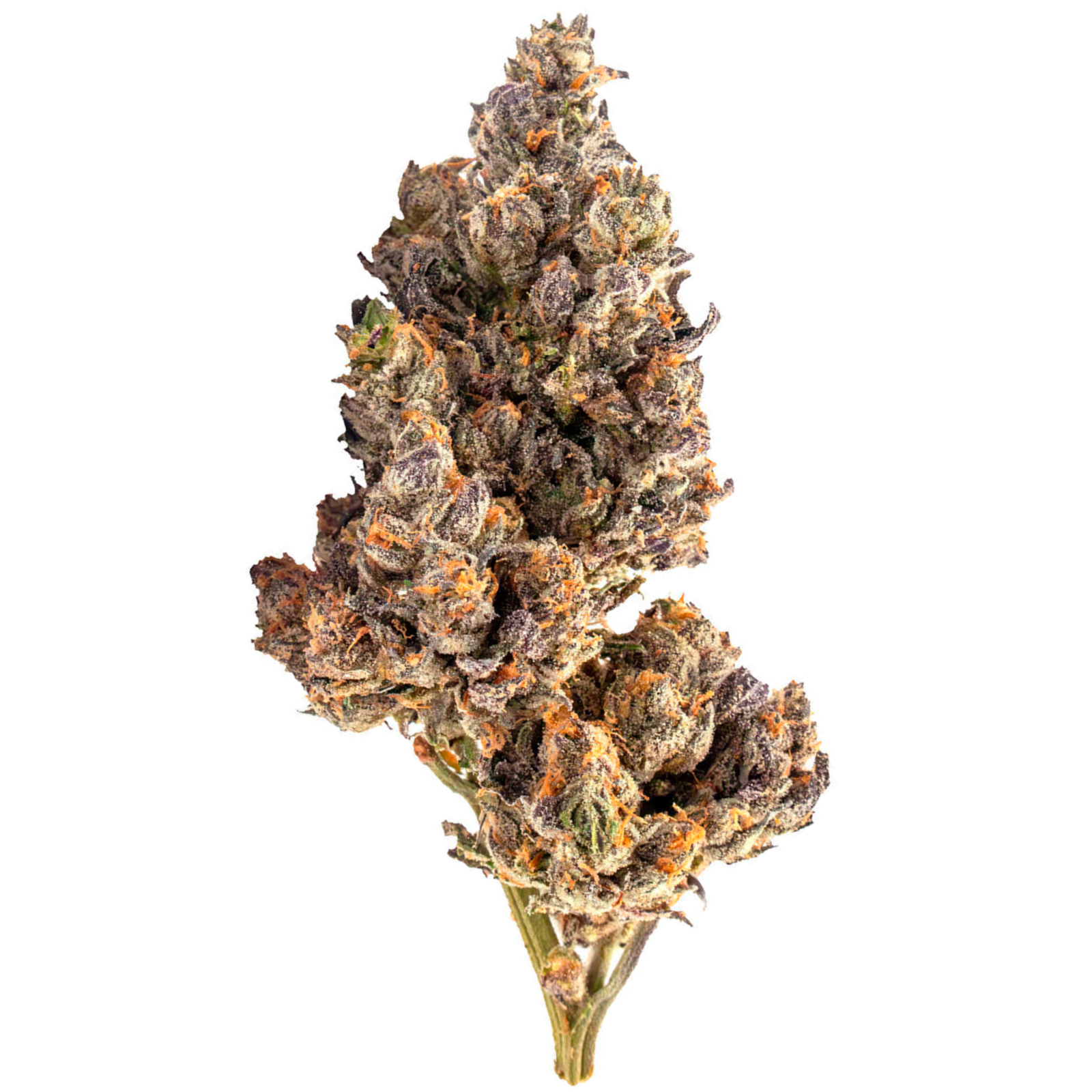 Sativa Bag: Gorilla Poison | 1g