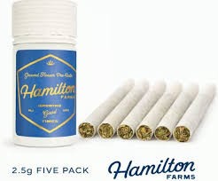 Hamilton Farms 5pk | Apple Jelly | 2.5g (Indica)