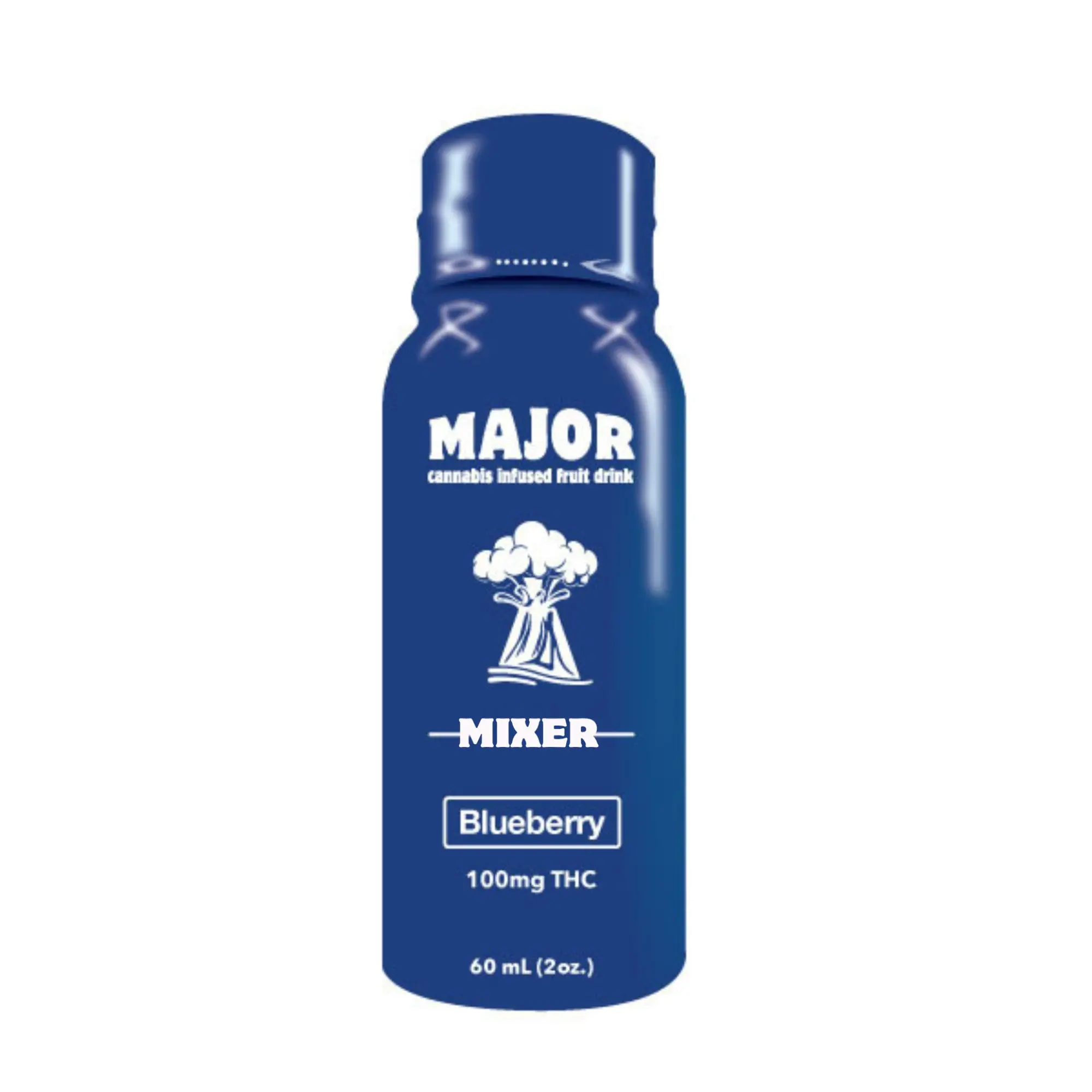 Major Fast Acting Shot Blueberry