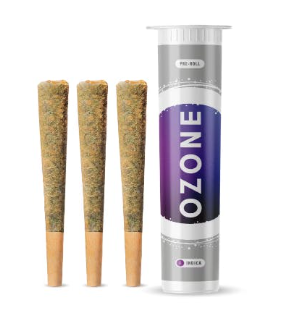 Gassed Up Garlic | 3-Pack Pre-Rolls | 1.5g