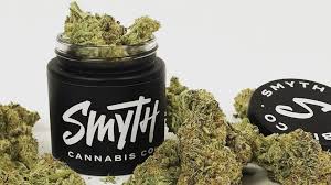 Smyth Flower - Fortissimo (I/H)