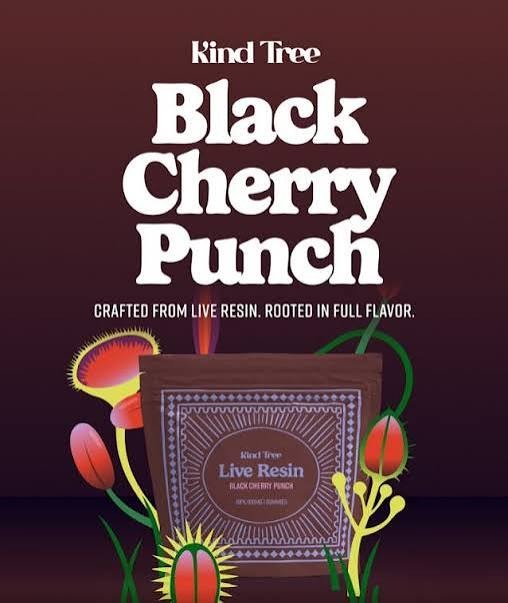 Kind Tree Live Resin Gummy (10pk) | Black Cherry Punch | 100mg (Indica)