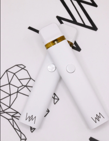 Aio Papaya