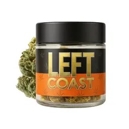 Left Coast | Baffalo Cheese | Indoor Flower