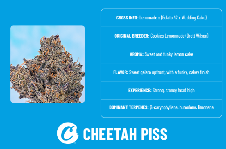 Cookies | Cheetah Piss 3.5g