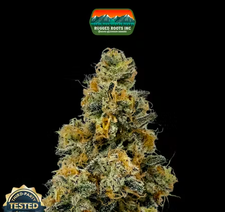 RuggedRoots - Flava Flav - 1g - H