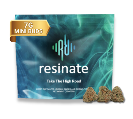 Garlic Runtz Mini Buds