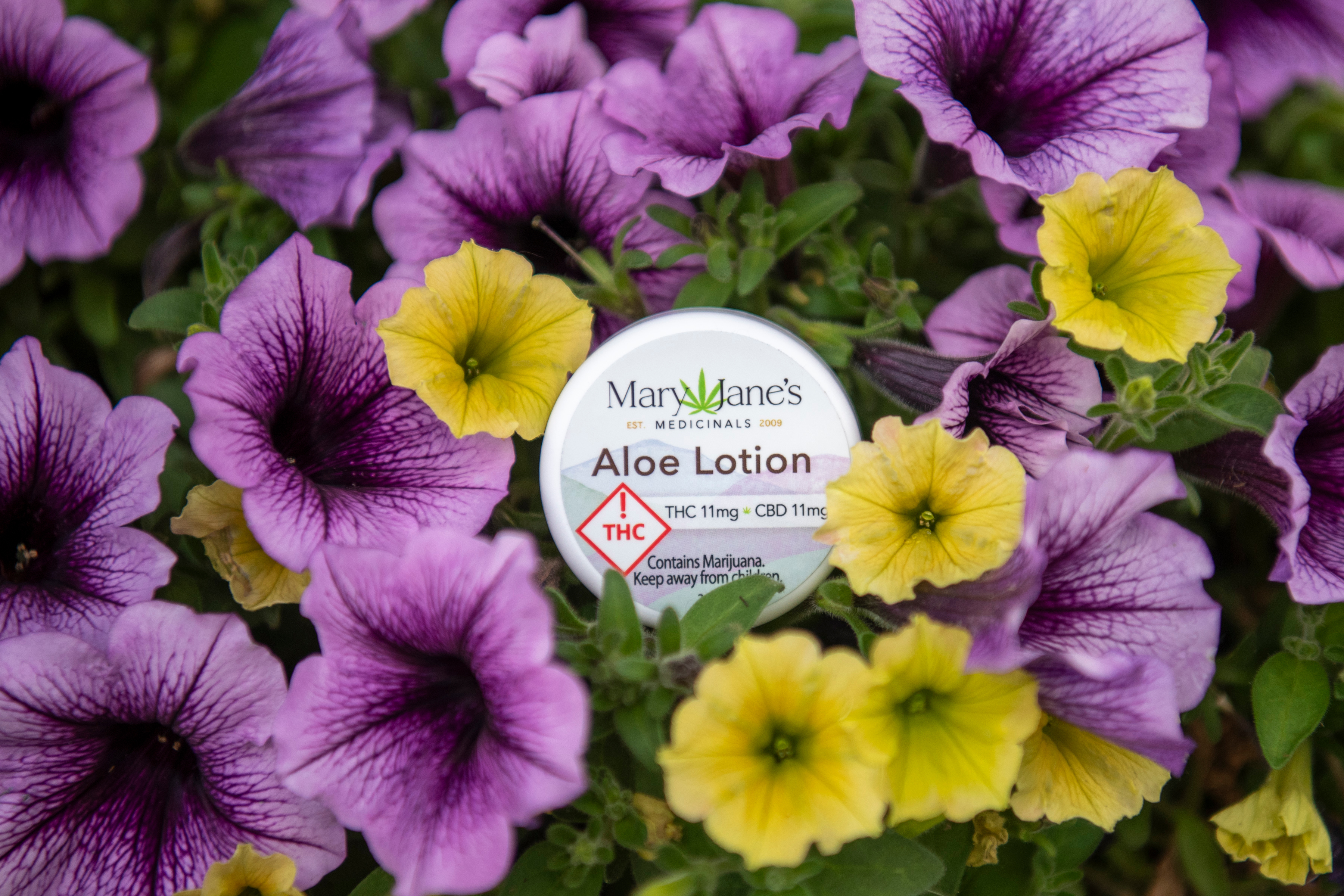 Aloe Lotion .3oz