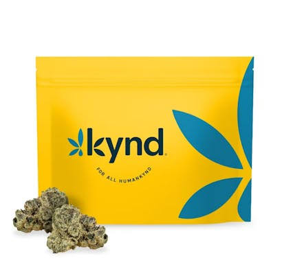 Kynd: Zero Gravity: