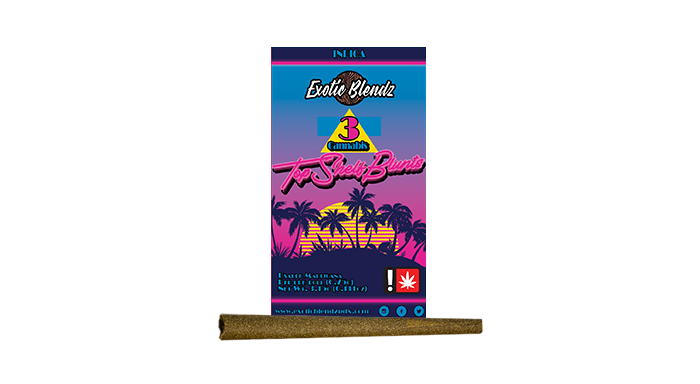 Exotic Blendz: Gastro Pop