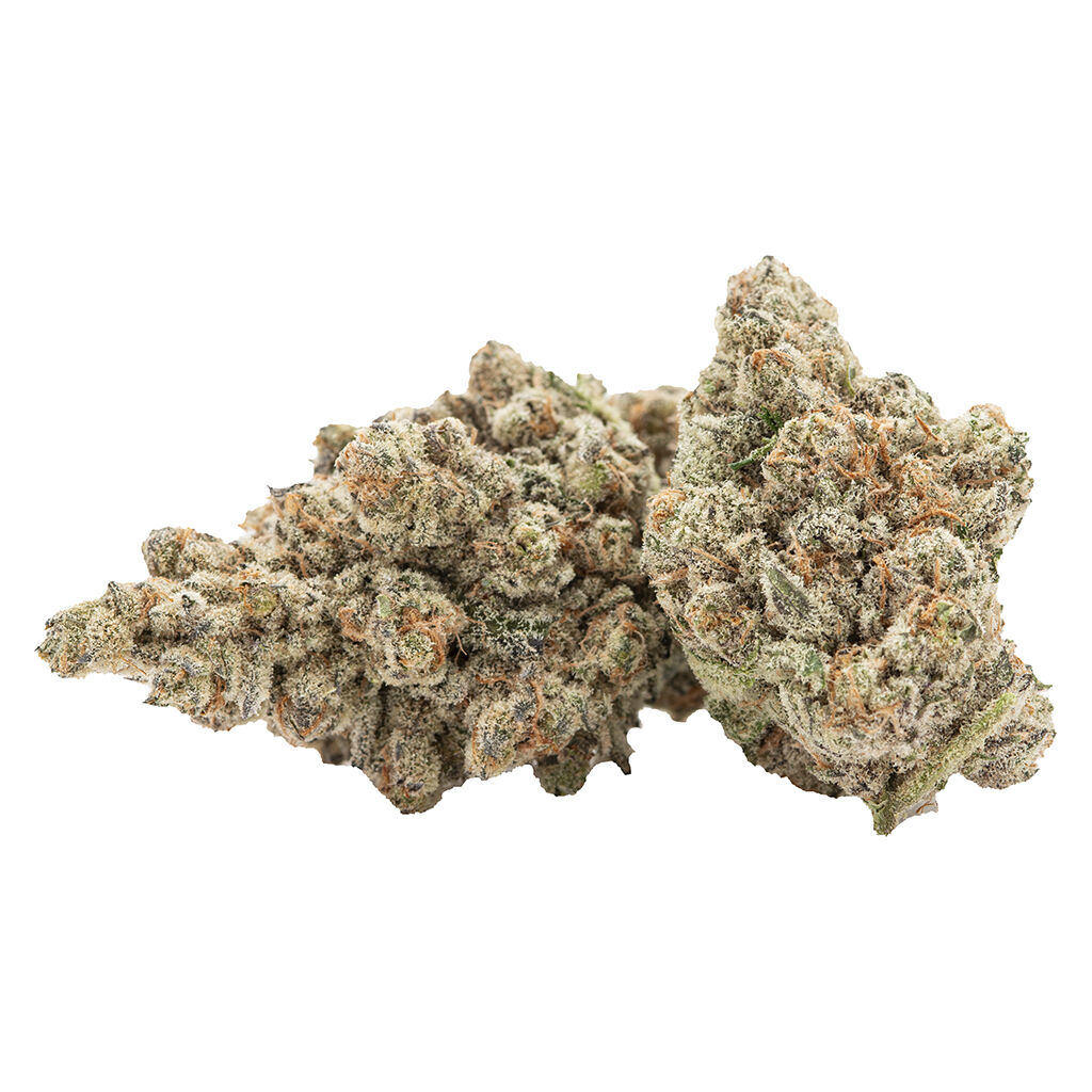 Cactus - Kush Fest (Platinum Gusherz) - Hybrid
