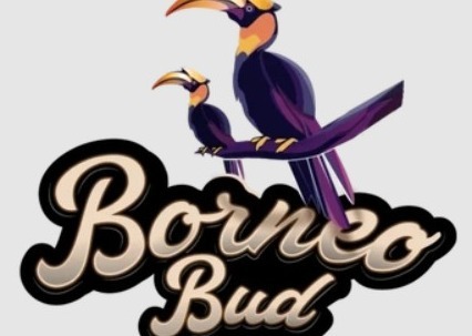 Pre Roll 2pk Dandy Fumez