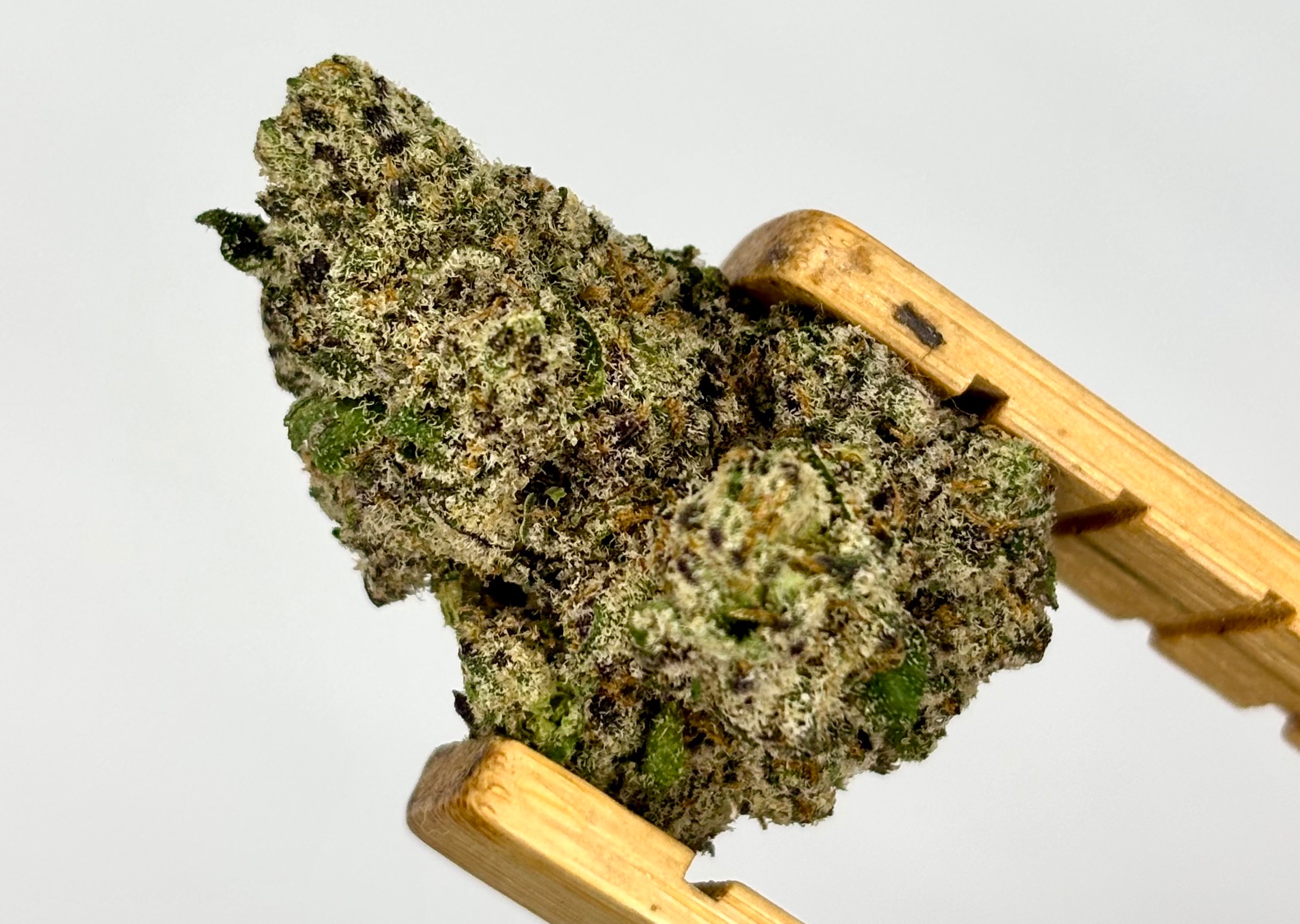 BAMN | Candy Cream Puff | Bulk Flower | Purple Tier