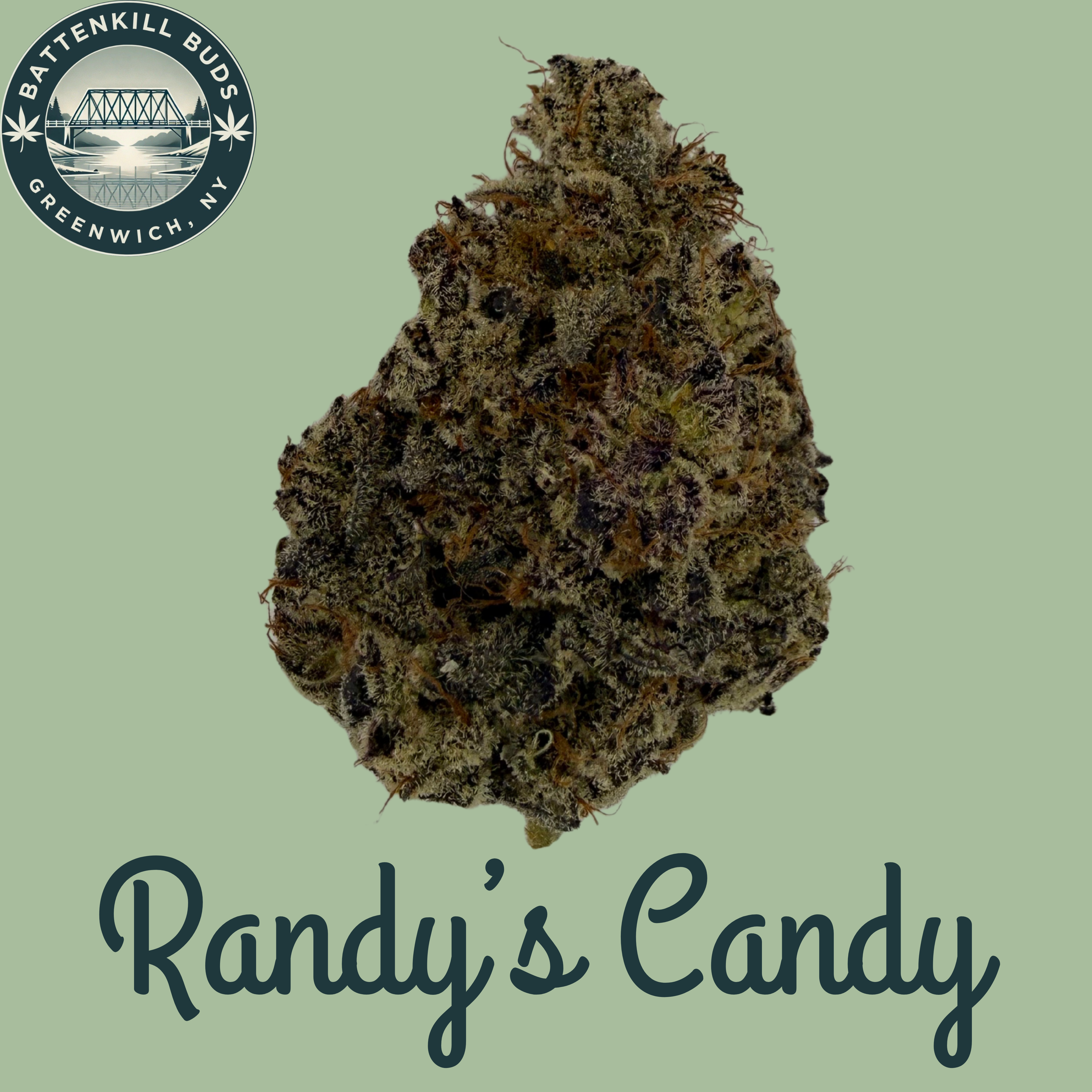 Randy Candy
