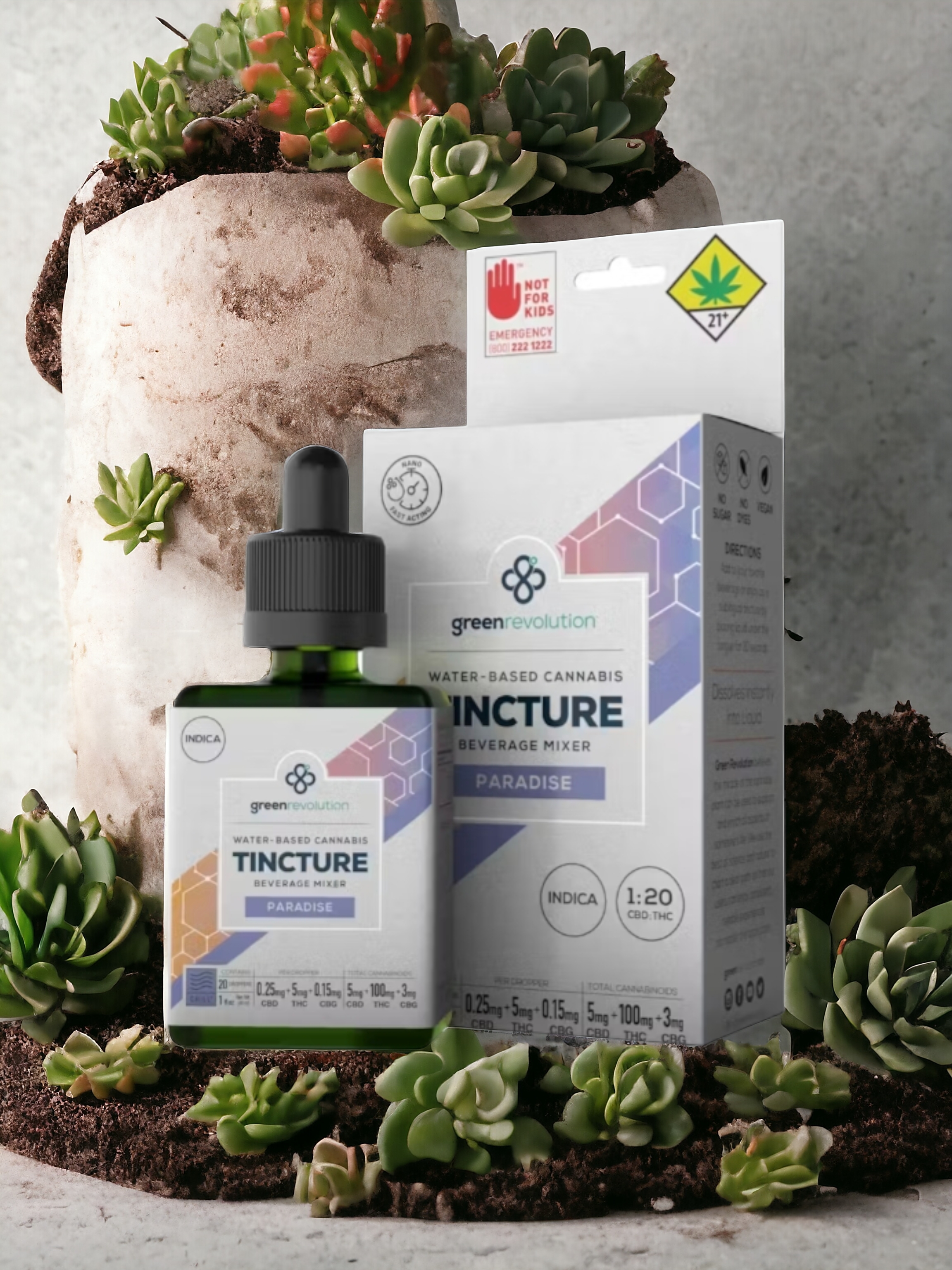 Paradise 1:20 Indica Nano Tincture | 1oz