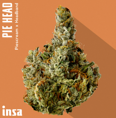 Pie Head Flower