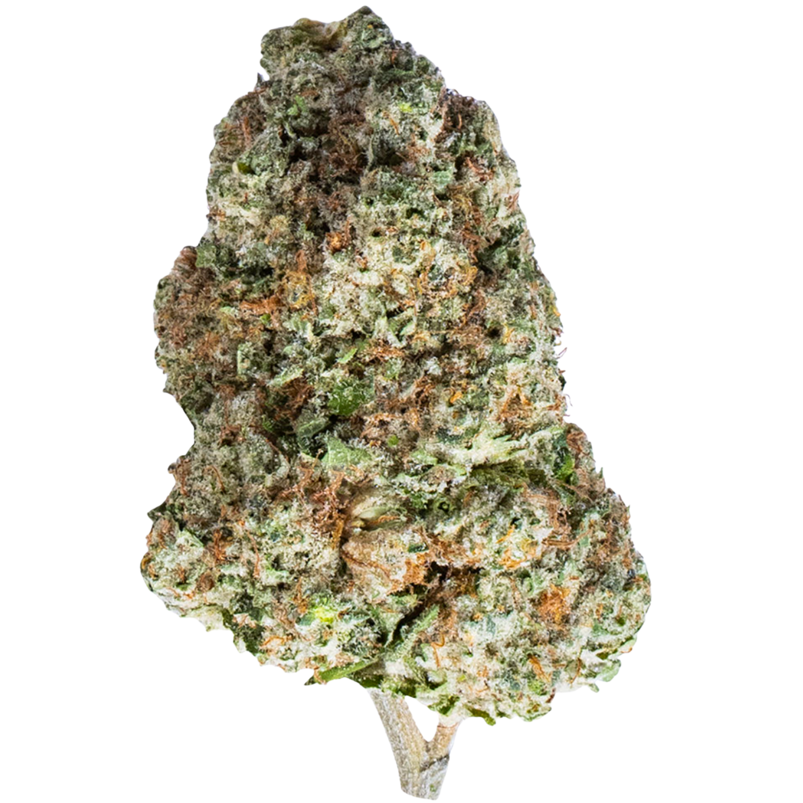Platinum OG (Master Kush x OG Kush) | 28g