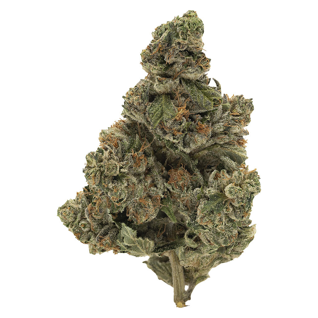 Simply Bare - BC Organic Kraken - 3.5g