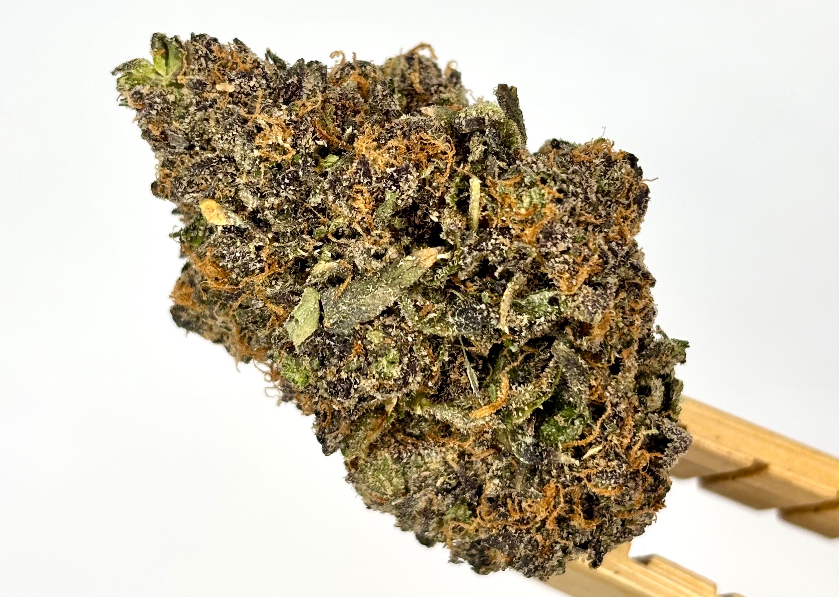 DogHouse | Mega | Bulk Flower | Platinum Tier