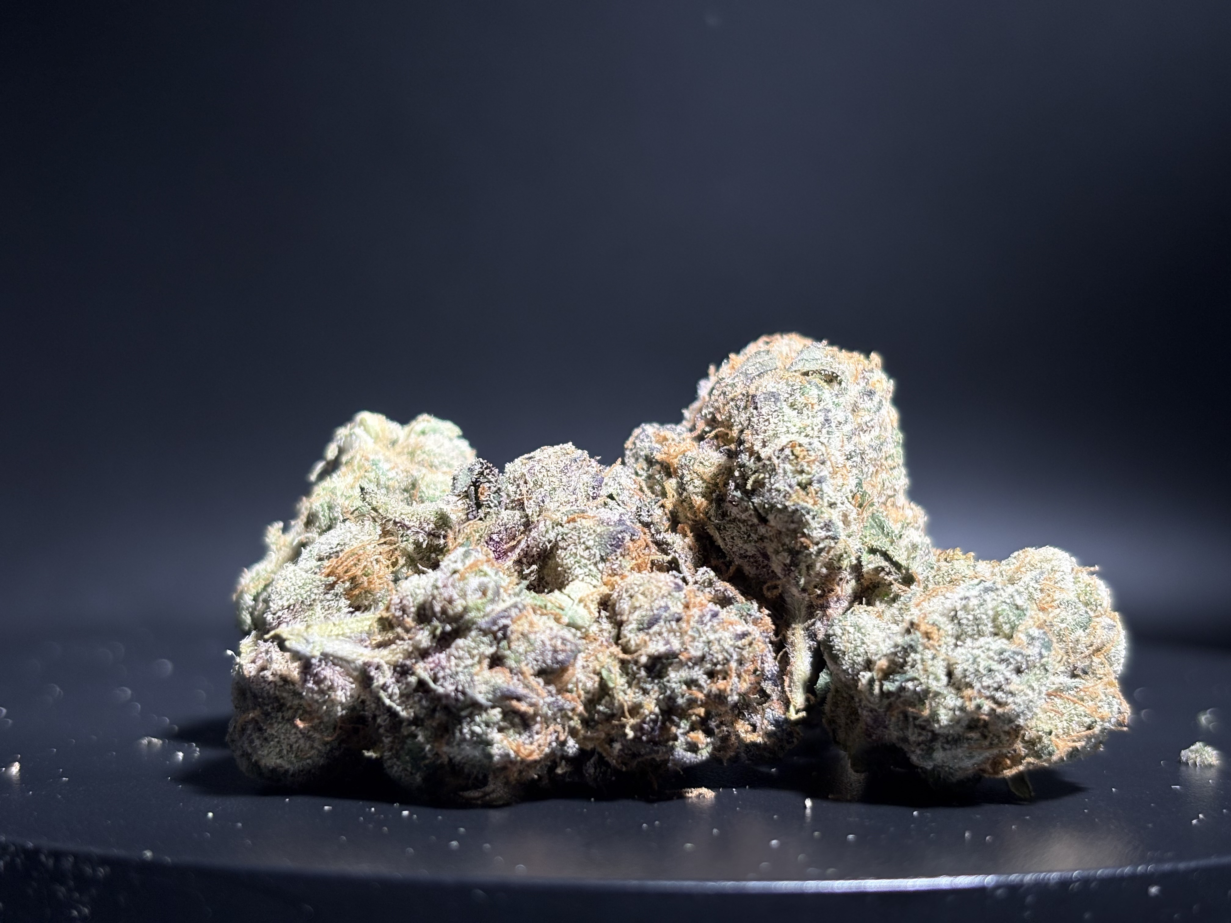 Flower - Bulk - Lemondary