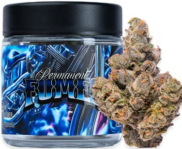 Permanent Fumes [H] - Flower