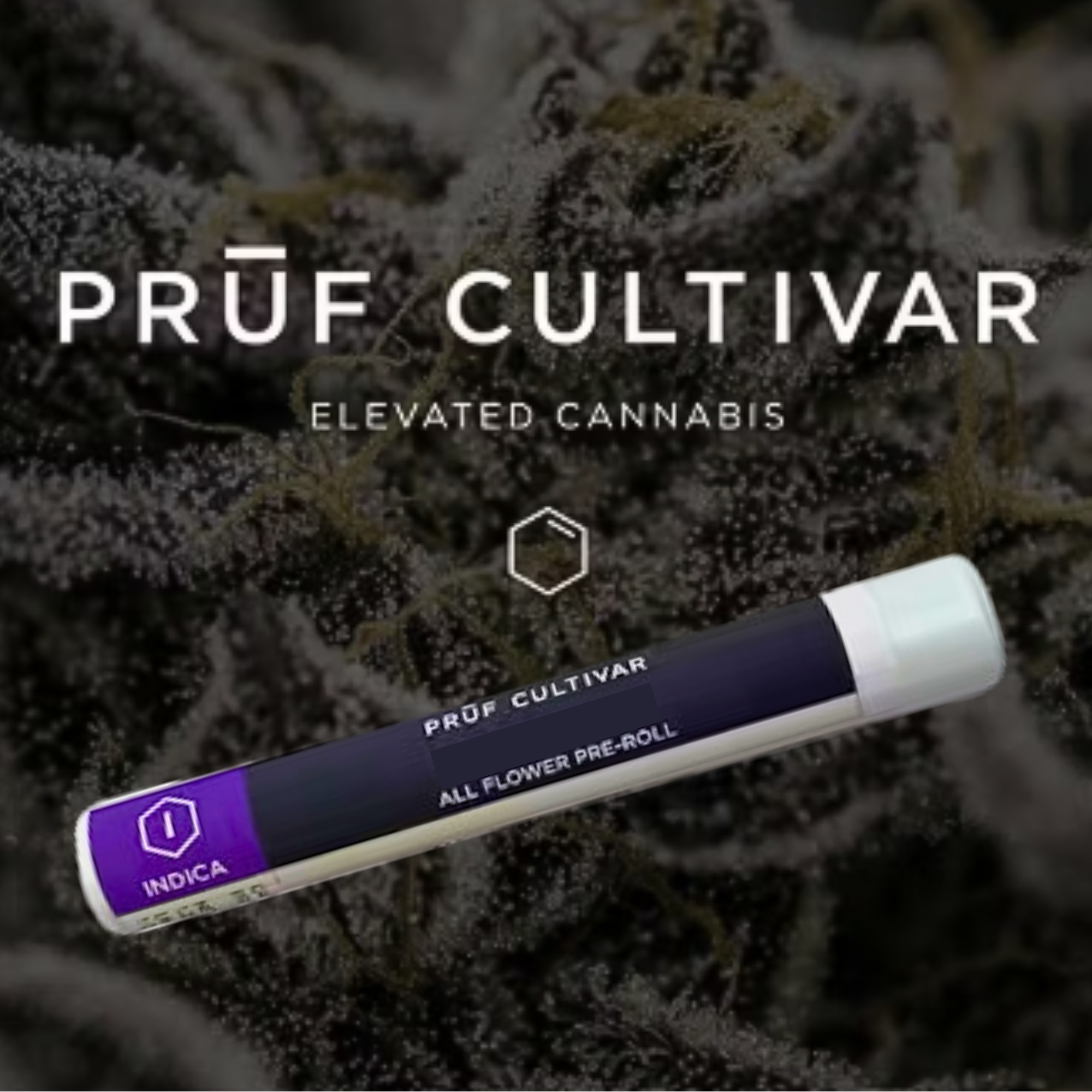 PRUF Cultivar - Gumi 9 - 1g Pre-Roll