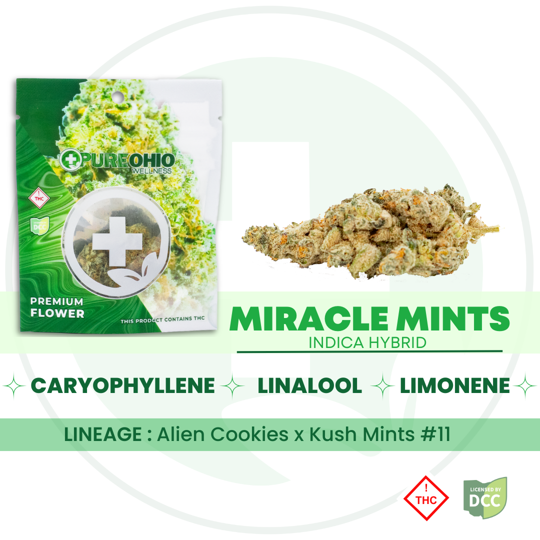 Miracle Mints