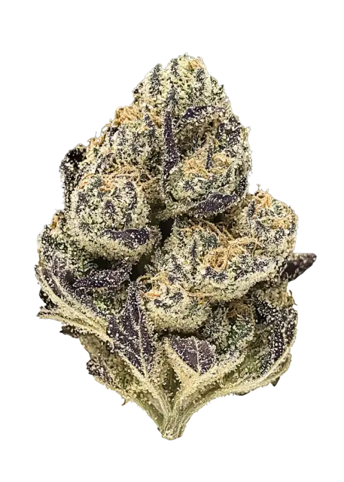 Black Amber | Flower | 1g