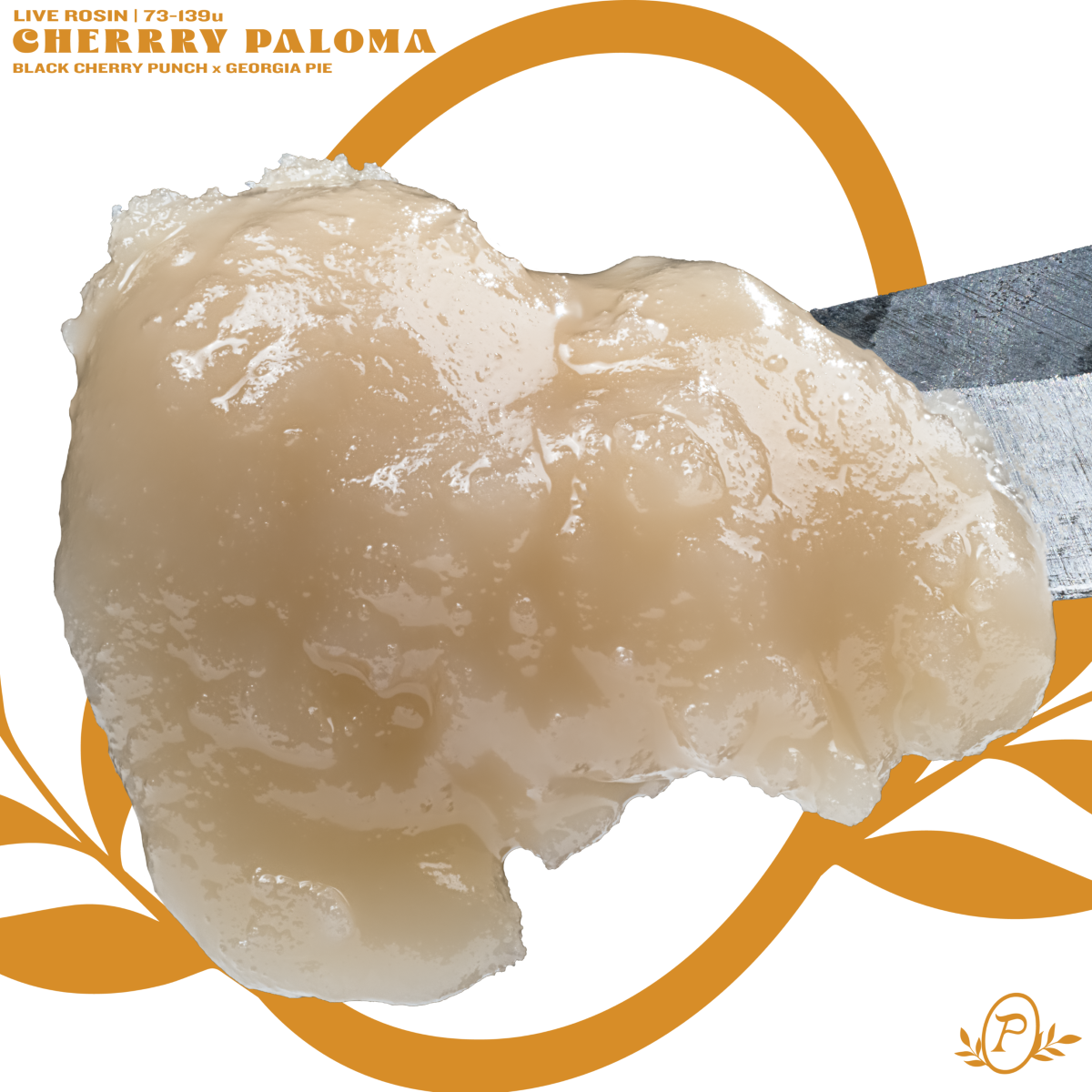 CHERRY PALOMA - LIVE ROSIN JAR