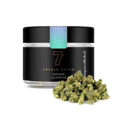Triple 7 777 Hot Spot Gmo