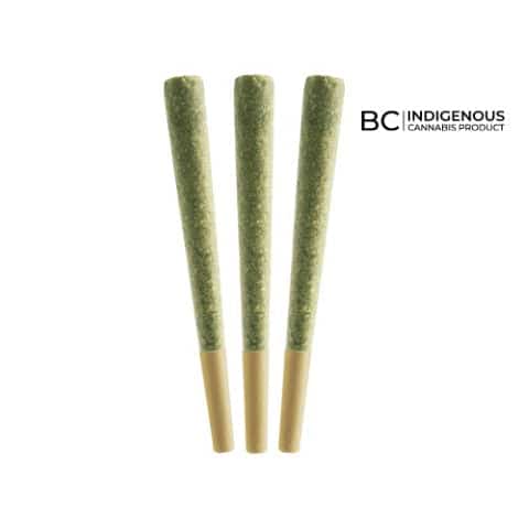 Tropic Thunder Pre-Rolls - Sativa - 3x0.5g