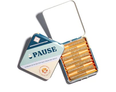 Honeybee Collective 0.50g 10pk PreRoll Tin | Pause - Apple Fritter