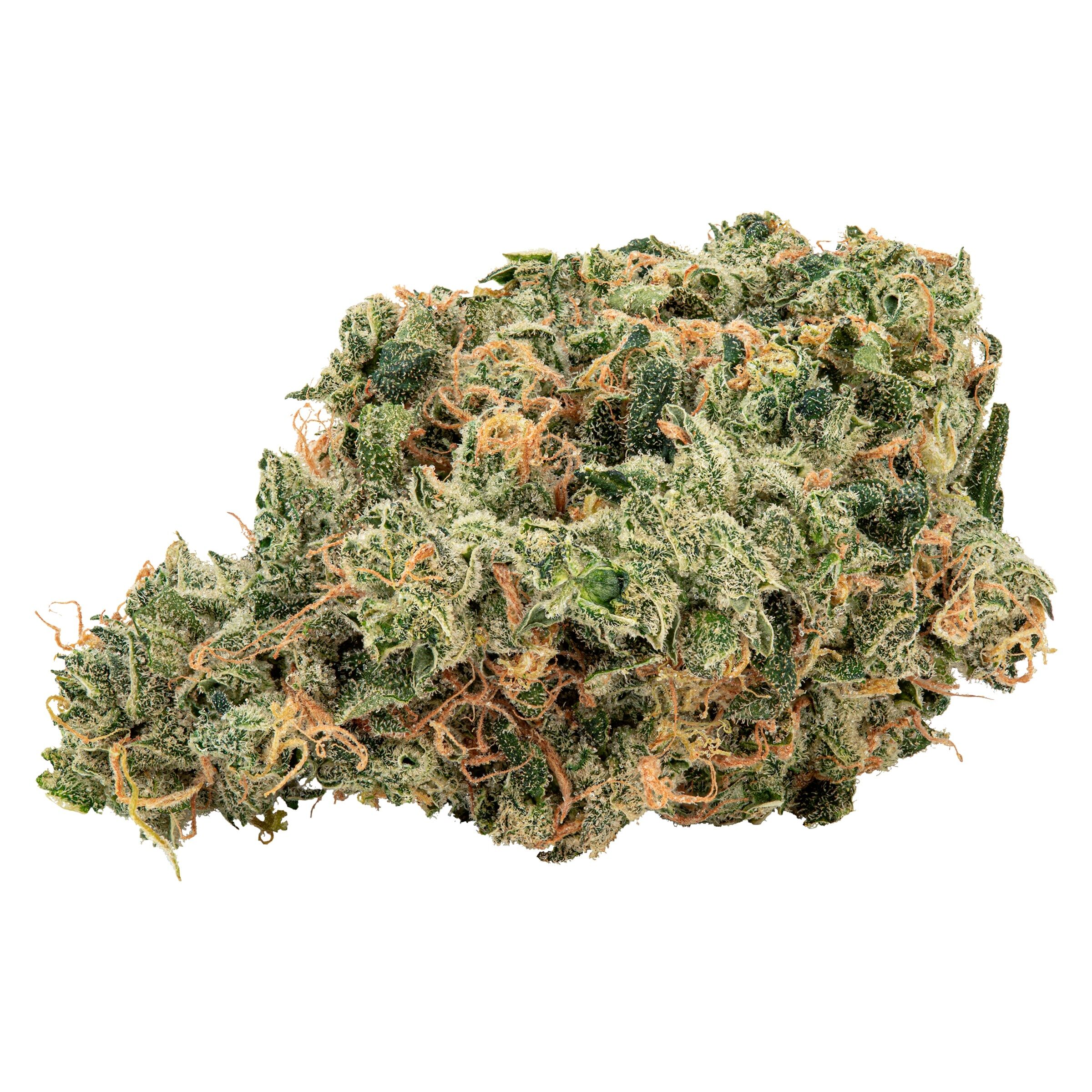Big Bag O' Buds - Ultra Jean-G - Ultra Sour x Lemon Margy #286 - 28g