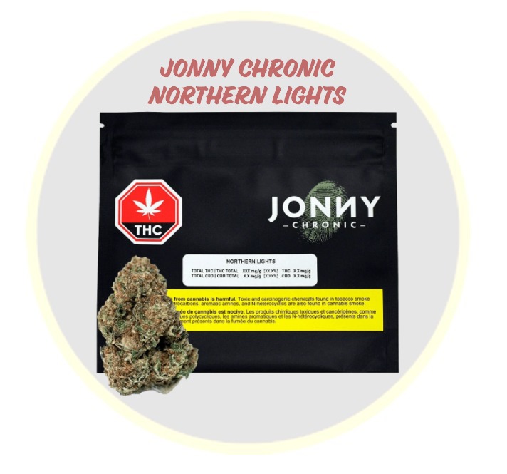 Northern Lights Dried Flower