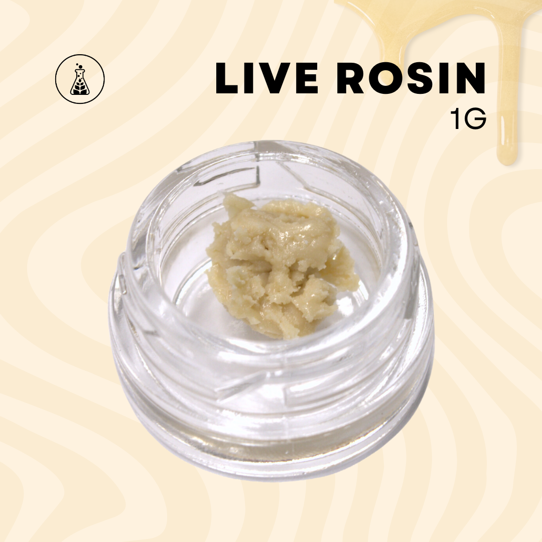 Live Rosin Point Break