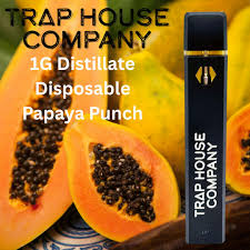 Trap House Disposable Papaya Punch