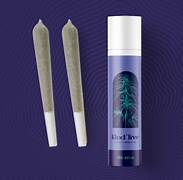 Kind Tree Diamond Infused 2pk | Cherry Slushee | 1g (Hybrid)