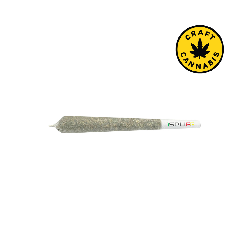 Spliff Caddy Pre-Roll Pack | 20 x 1g