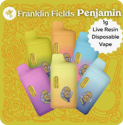 FRANKLIN FIELDS PENJAMIN | 1G LIVE RESIN DISPOSABLE | WILD CHERRY RUNTZ