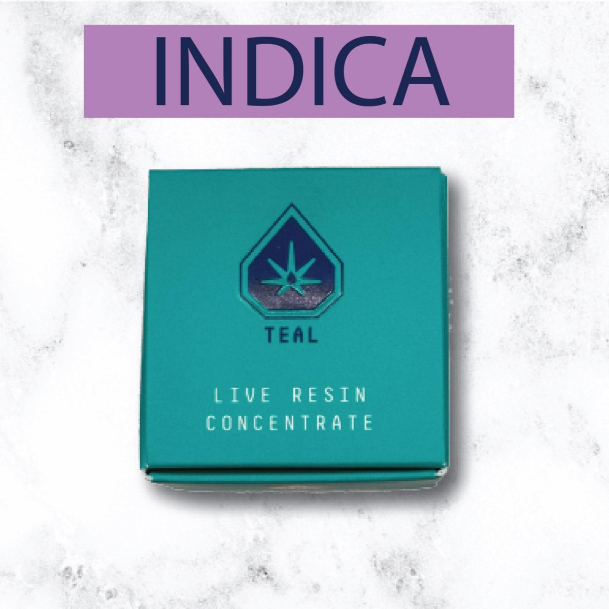 Triple Burger Papa Burger Live