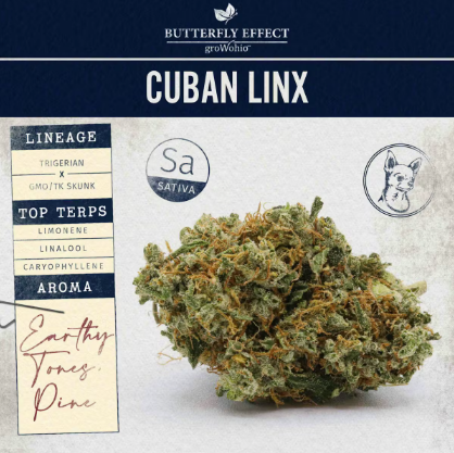 Butterfly Effect - Cuban Linx - Flower - 2.83g