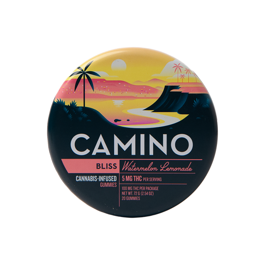 Watermelon Lemonade Bliss