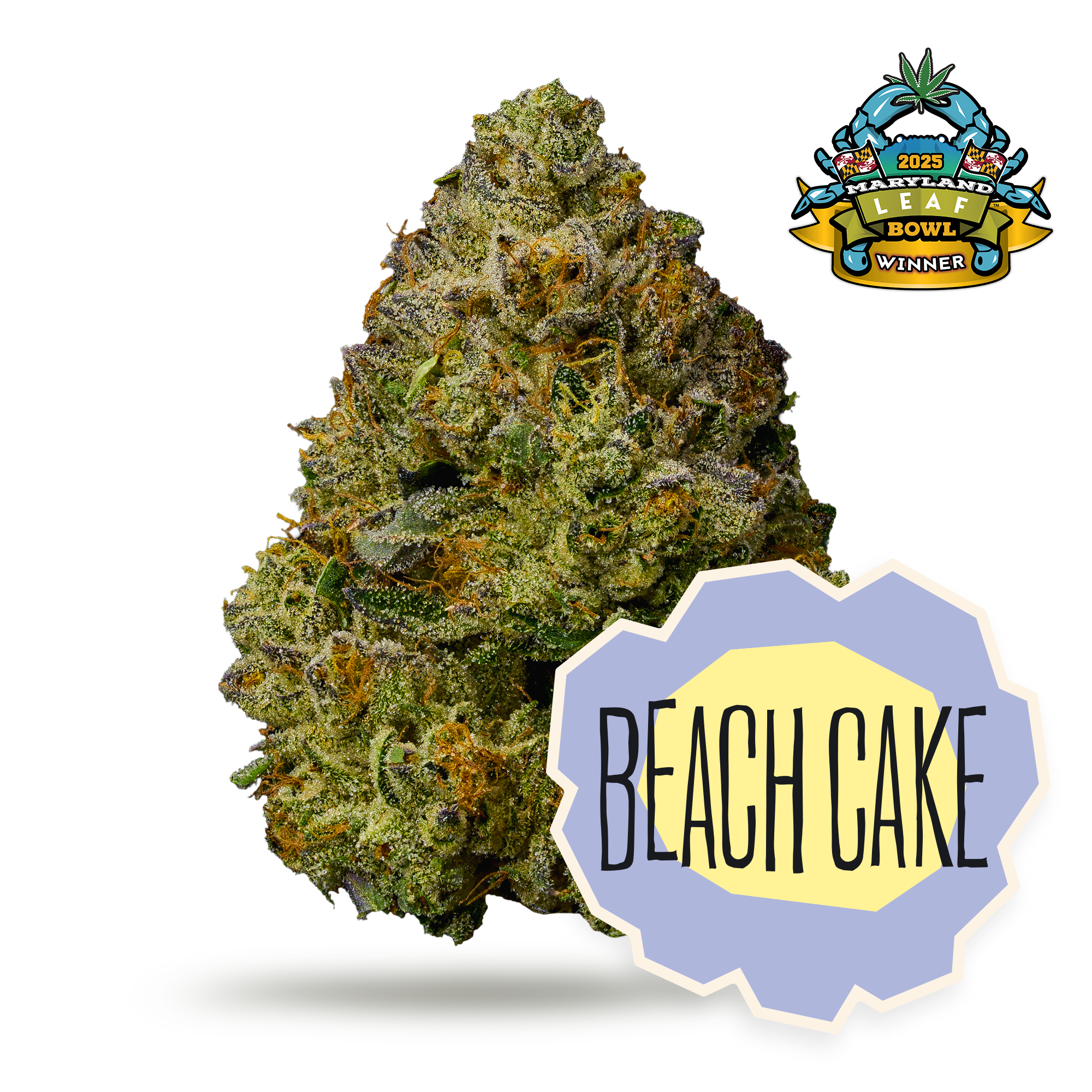 Beach Cake PrePacked - 28g