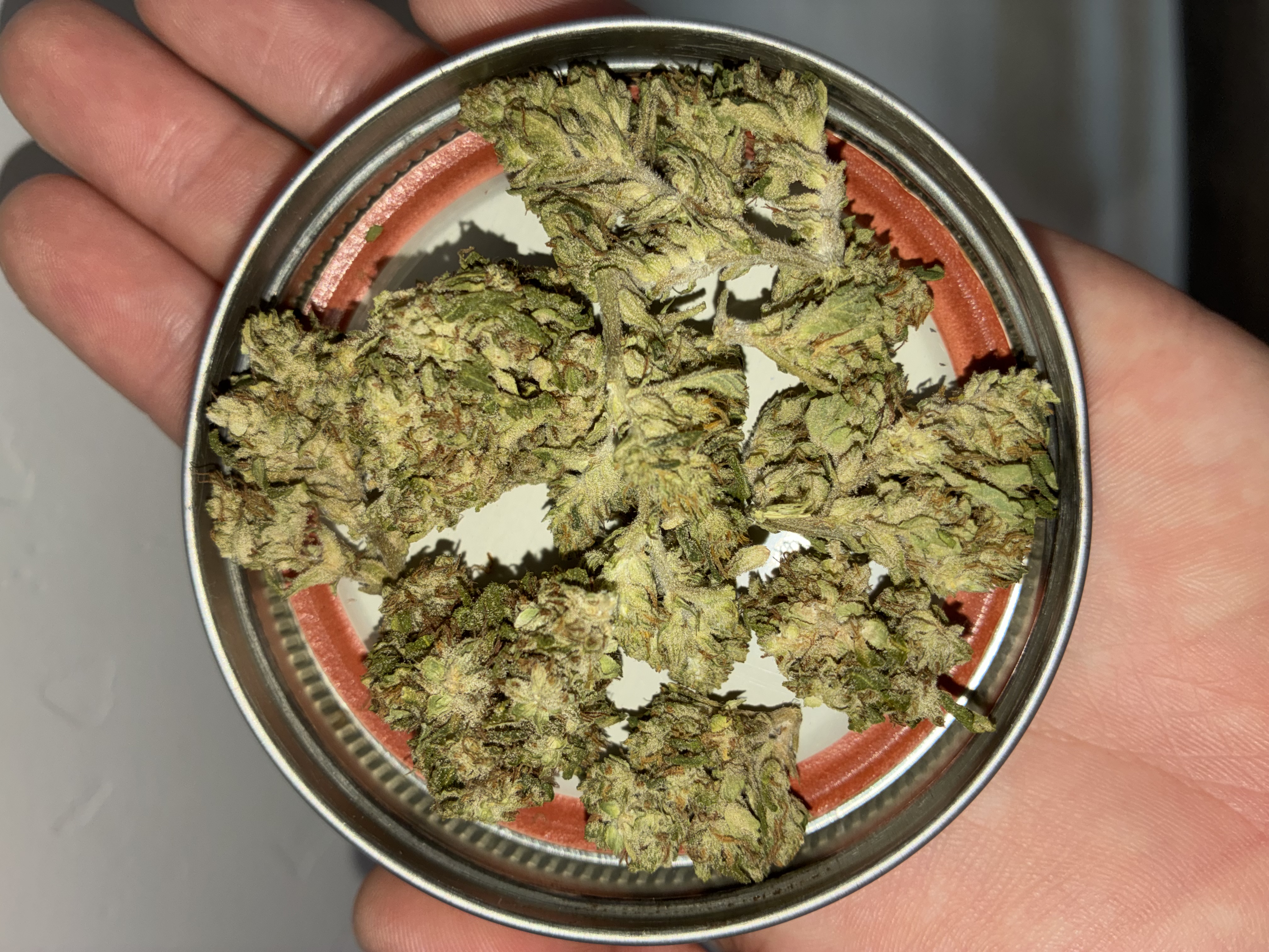 East Fork Cultivars: Sour G