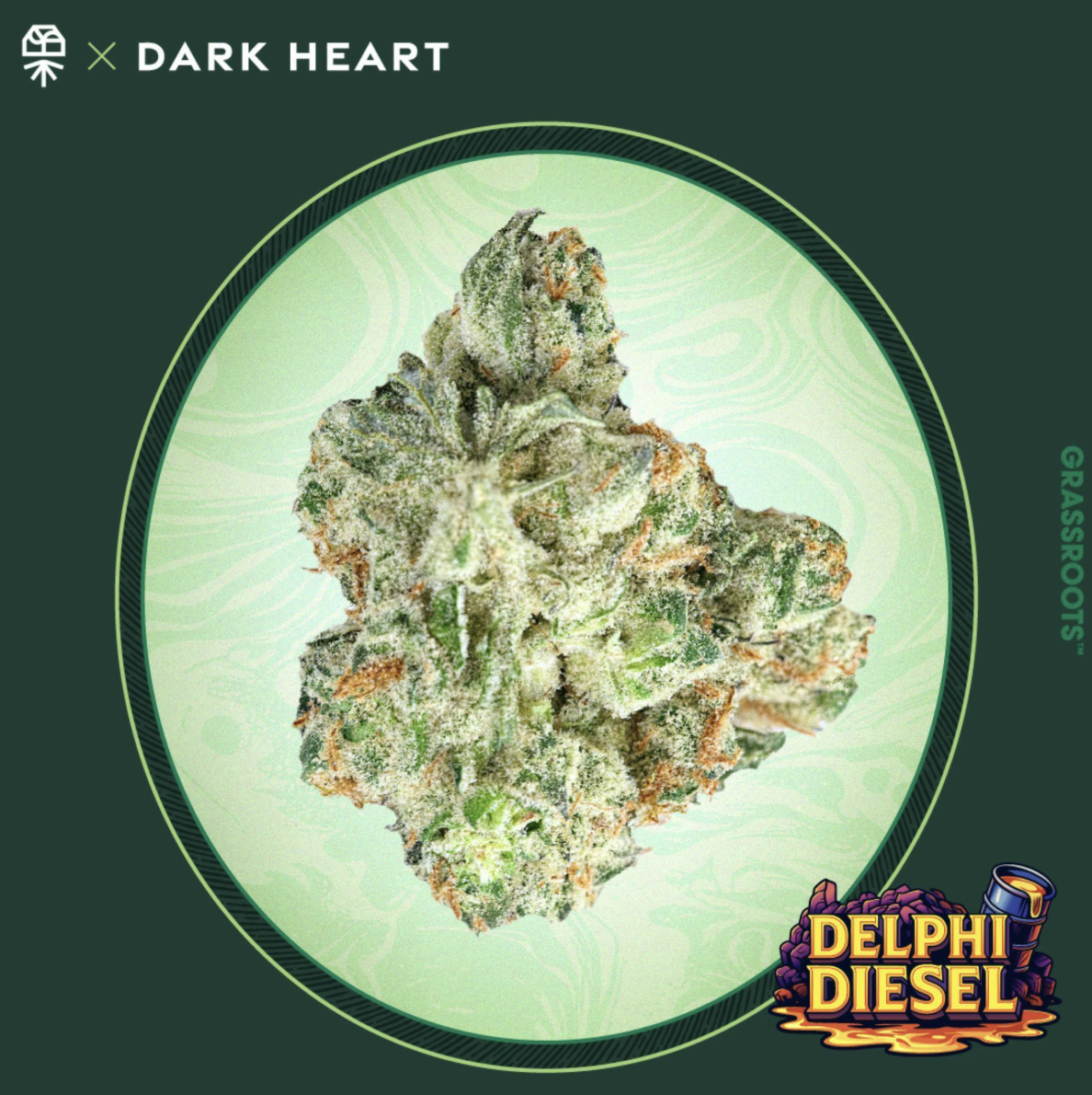 Delphi Diesel - 3.5g - S