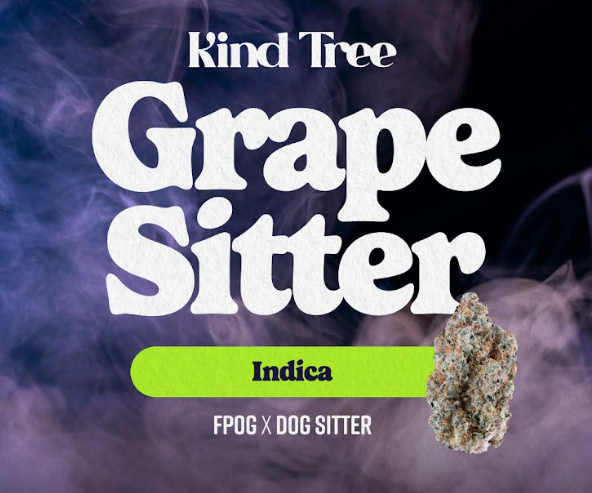 Kind Tree | Grape Sitter 3.