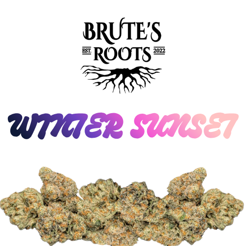 Small Buds - Winter Sunset  |  MED