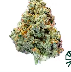 Mimosa Kush Mints - 3.5g - H