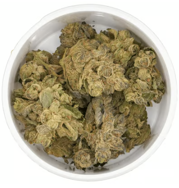 SUNMED Pebblewreck 5g
